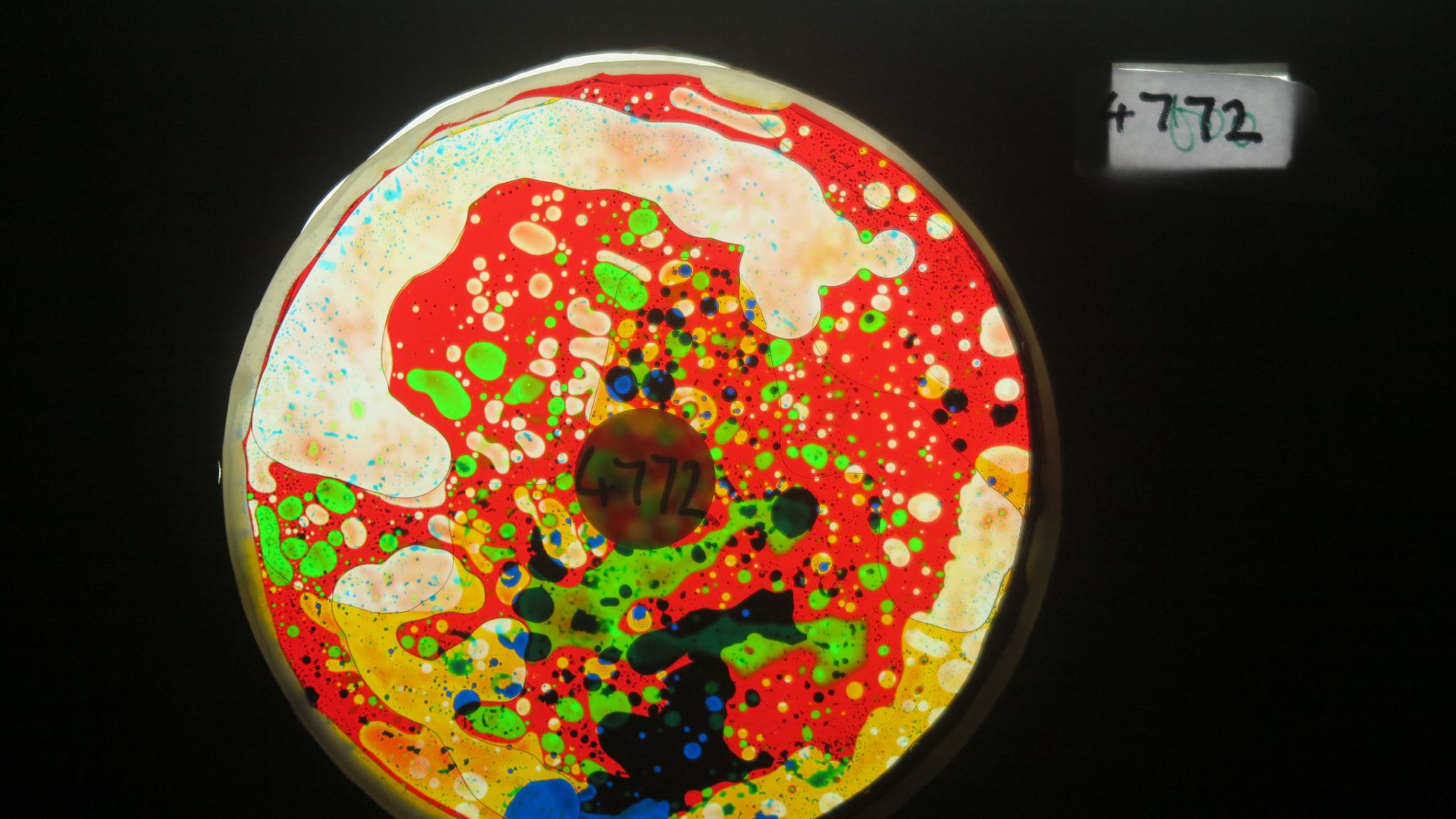 BV4772 bubble vision oil wheel